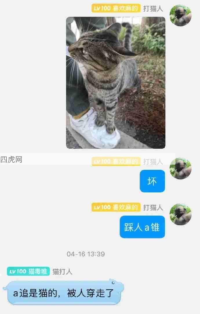 猫猫好坏亲亲！就是这种款式