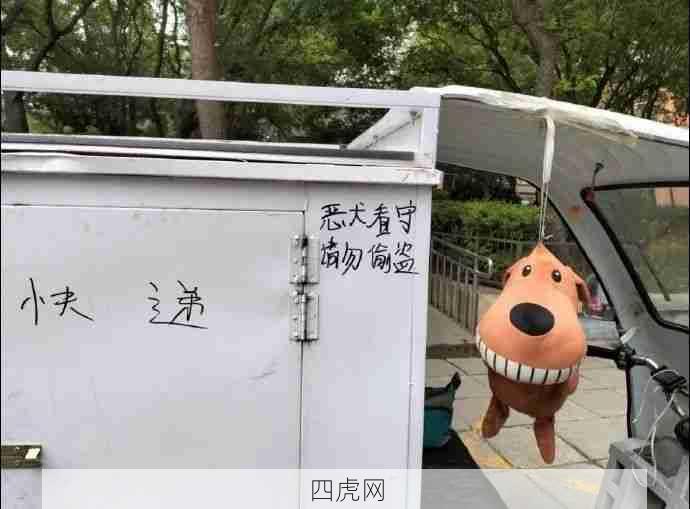 丢弃的娃娃也找到了属于自己的归宿