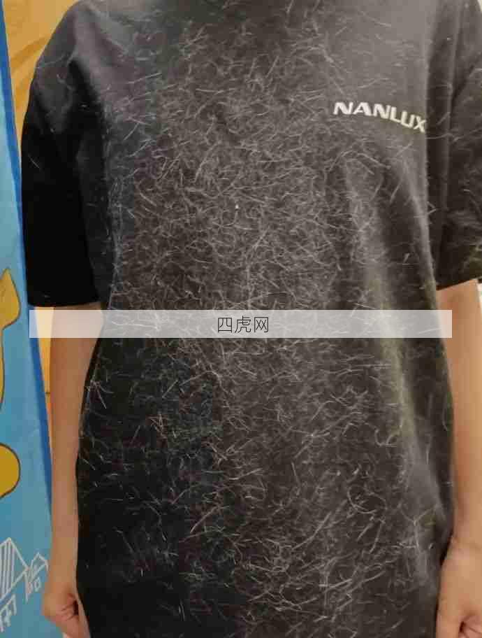 本铲屎官感同身受！毛真的满天飞